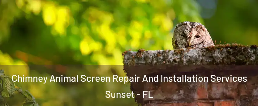  Chimney Animal Screen Repair And Installation Services Sunset - FL