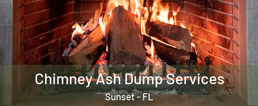  Chimney Ash Dump Services Sunset - FL